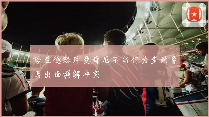 哈兰德怒斥曼奇尼不当行为多纳鲁马出面调解冲突