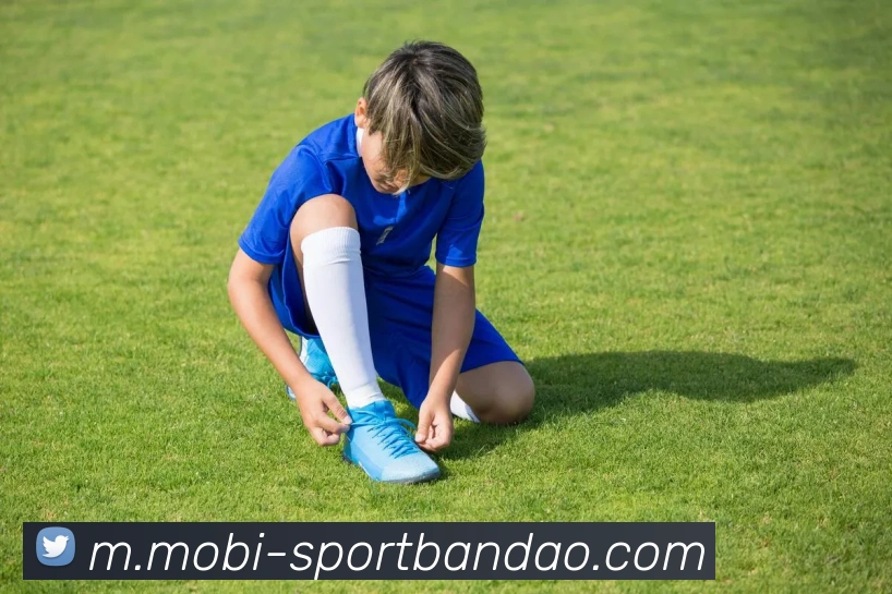 半岛体育APP 体育赛事宣传图